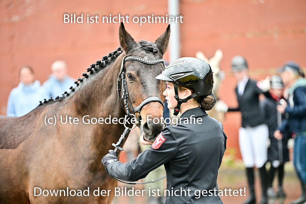  | Vormustern  (62) 