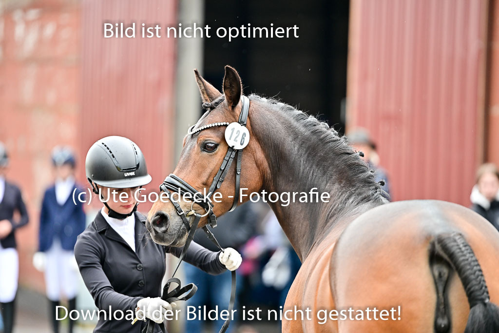  | Vormustern  (71) 