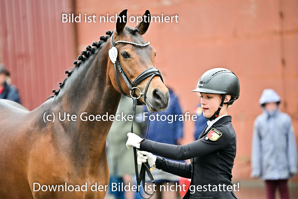  | Vormustern  (74) 