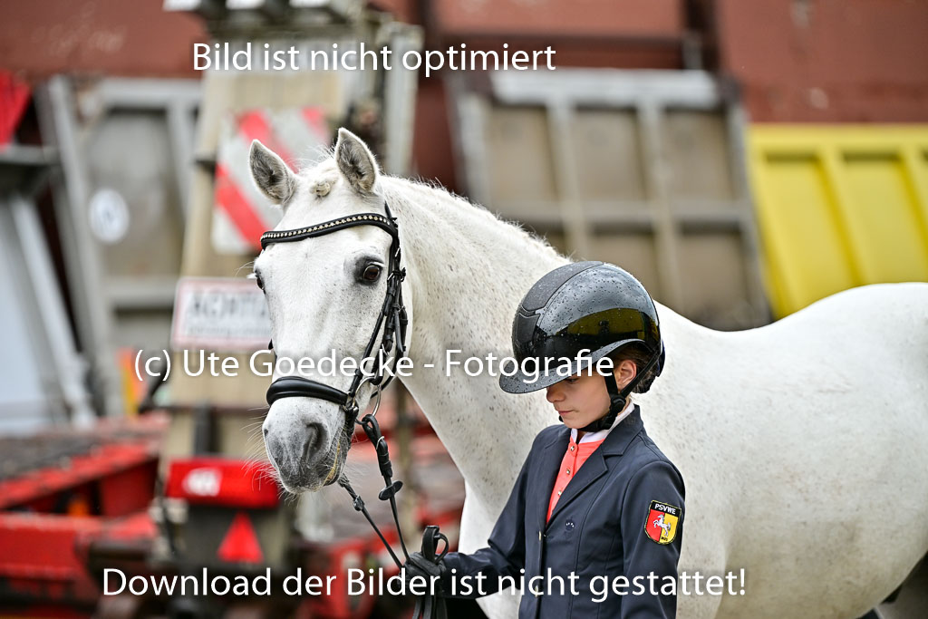  | Vormustern  (81) 