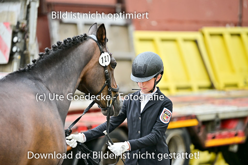  | Vormustern  (85) 