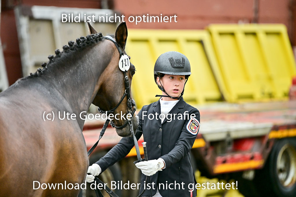  | Vormustern  (86) 