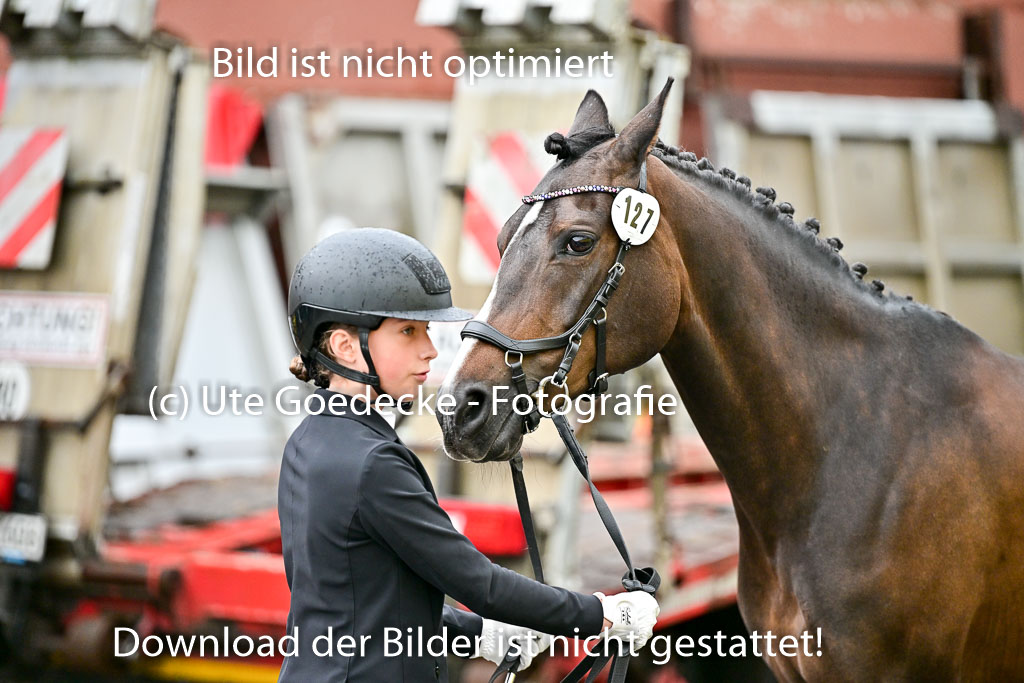  | Vormustern  (91) 