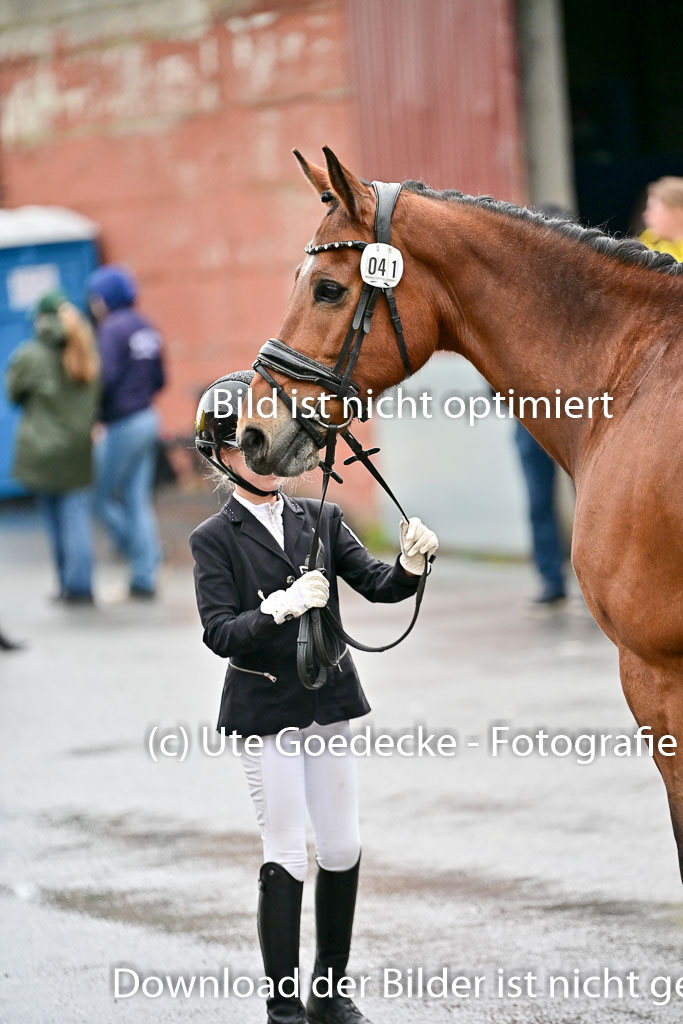  | Vormustern  (93) 