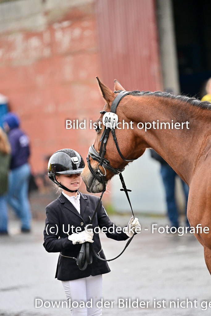  | Vormustern  (94) 