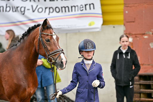  | Vormustern  (406) 