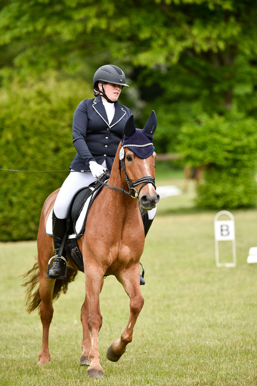  | 17052025 Dressur_17 