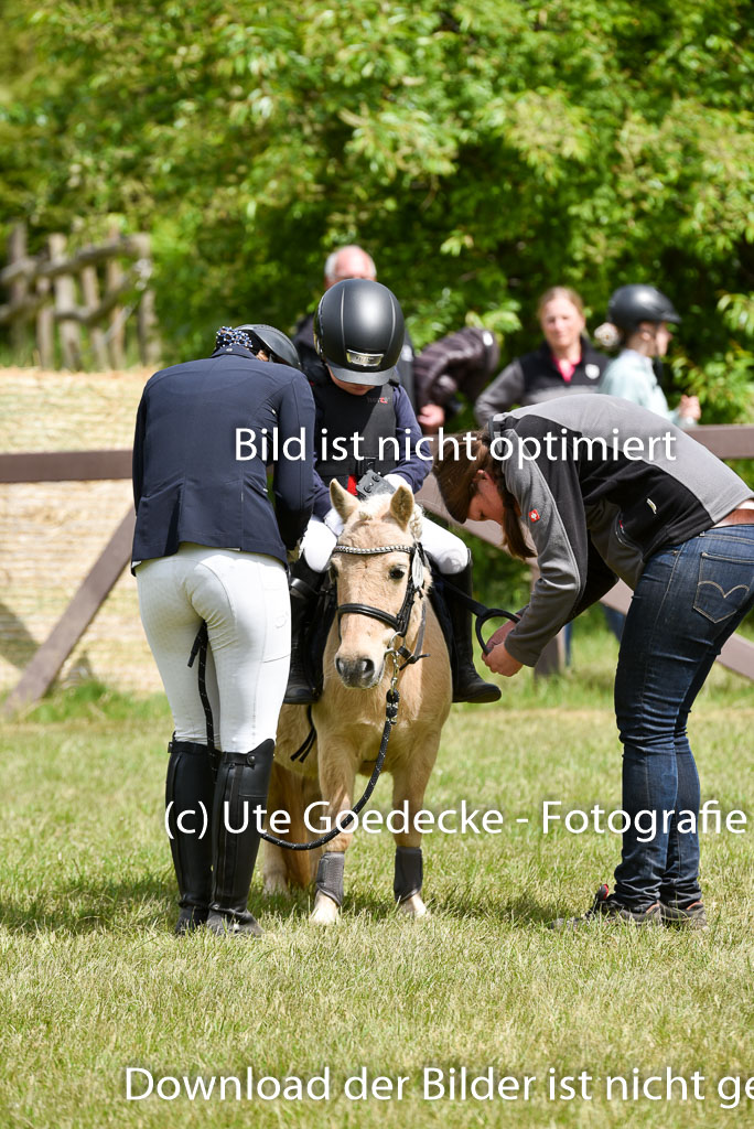  | 17052025 Führzügel WB_07 