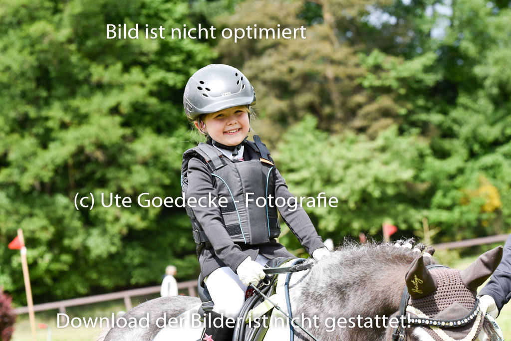  | 17052025 Führzügel WB_08 