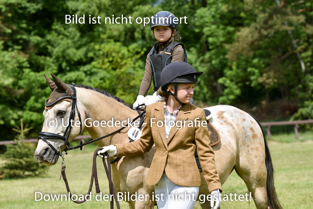  | 17052025 Führzügel WB_22 