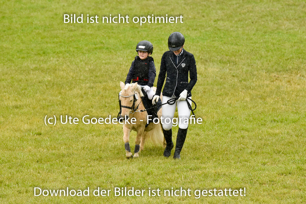  | 17052025 Führzügel WB_41 