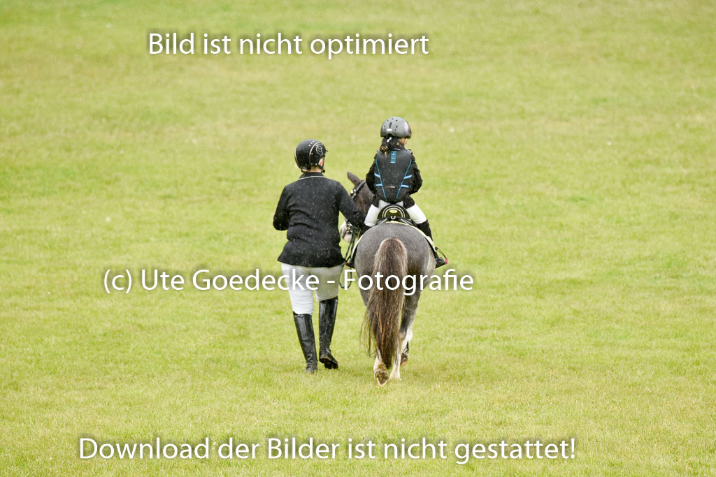  | 17052025 Führzügel WB_42 