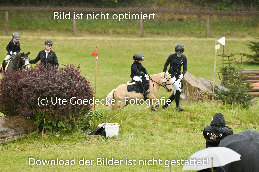  | 17052025 Führzügel WB_45 