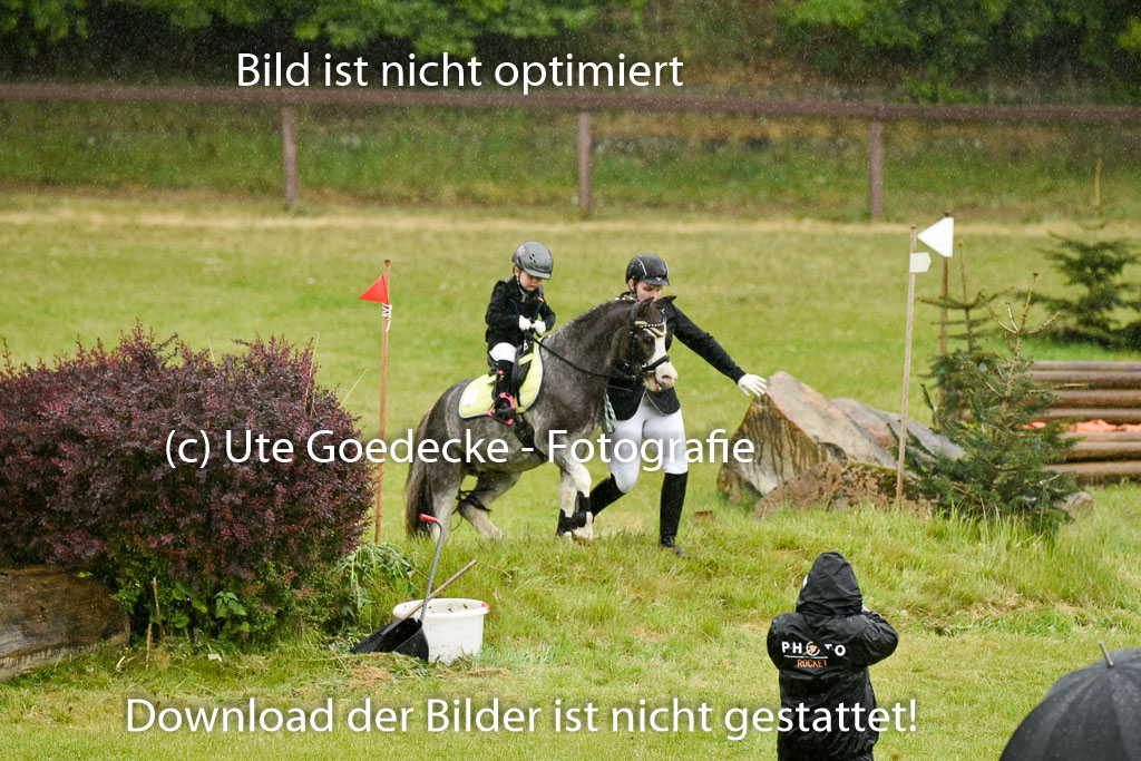  | 17052025 Führzügel WB_46 