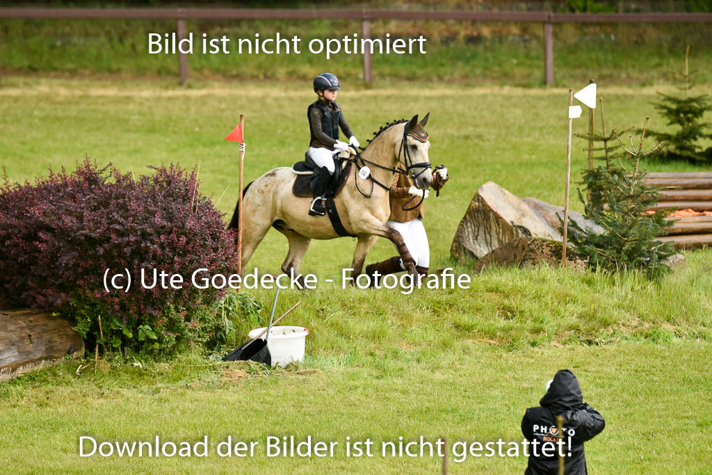  | 17052025 Führzügel WB_59 