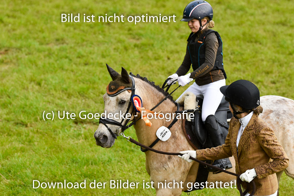  | 17052025 Führzügel WB_78 