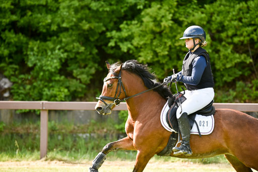  | 17052025 gelände E 2 Abt_254 