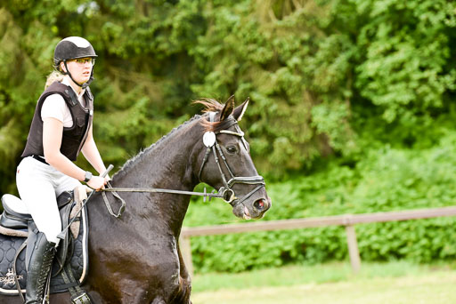  | 17052025 gelände E 2 Abt_336 