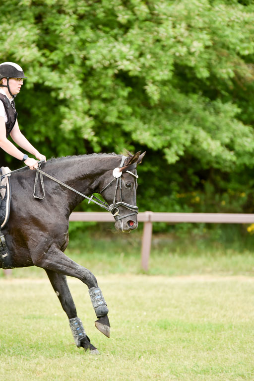  | 17052025 gelände E 2 Abt_341 