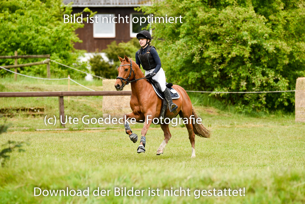  | 17052025 Geläönde E  1 Abt_088 