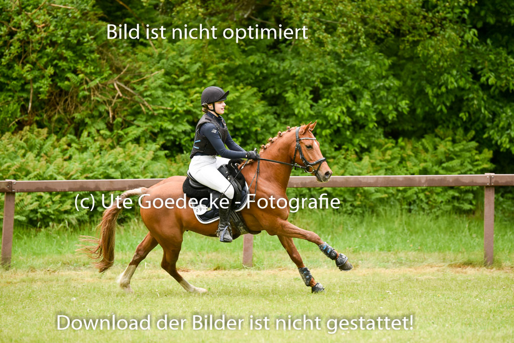  | 17052025 Geläönde E  1 Abt_091 