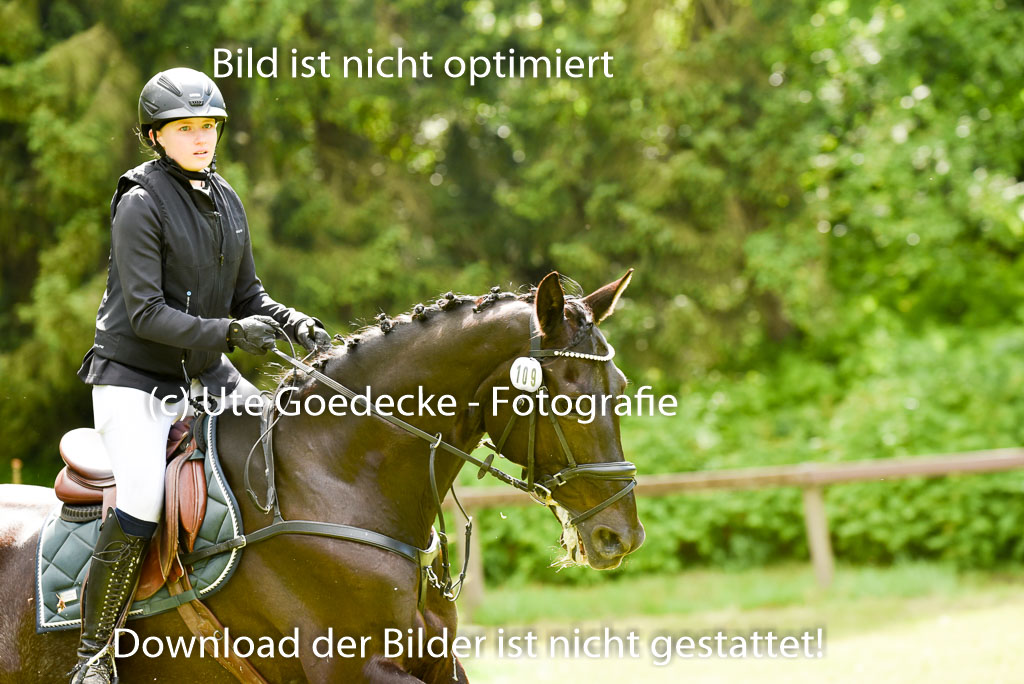  | 17052025 Geläönde E  1 Abt_113 