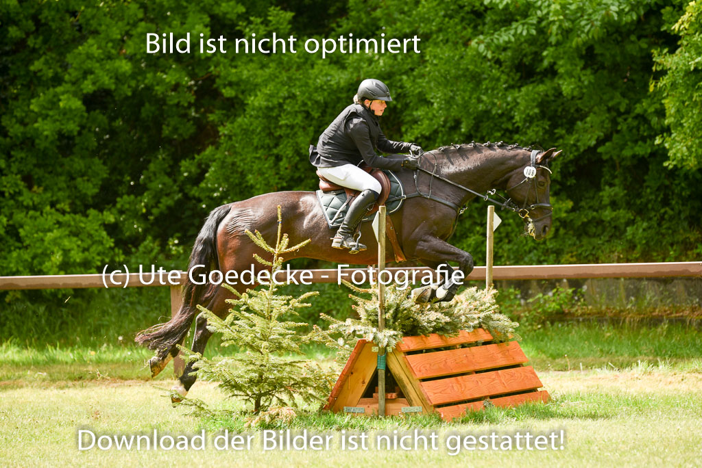  | 17052025 Geläönde E  1 Abt_118 