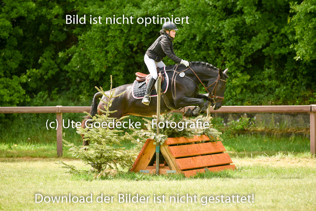  | 17052025 Geläönde E  1 Abt_141 