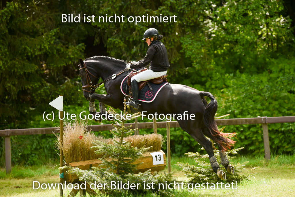  | 17052025 Geläönde E  1 Abt_146 
