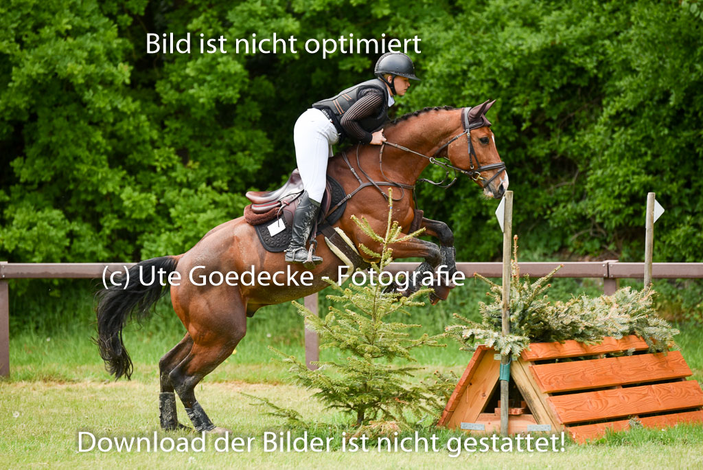  | 17052025 Geläönde E  1 Abt_159 