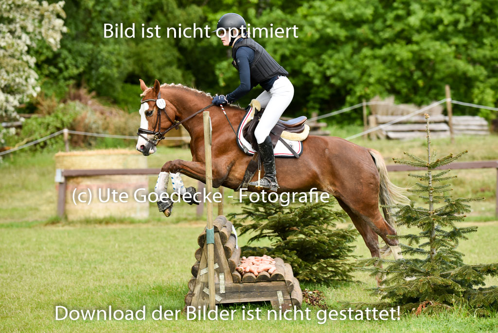  | 17052025 Geläönde E  1 Abt_177 