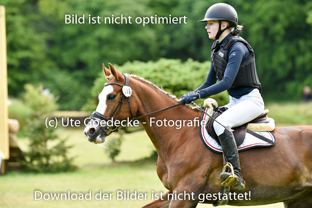  | 17052025 Geläönde E  1 Abt_182 