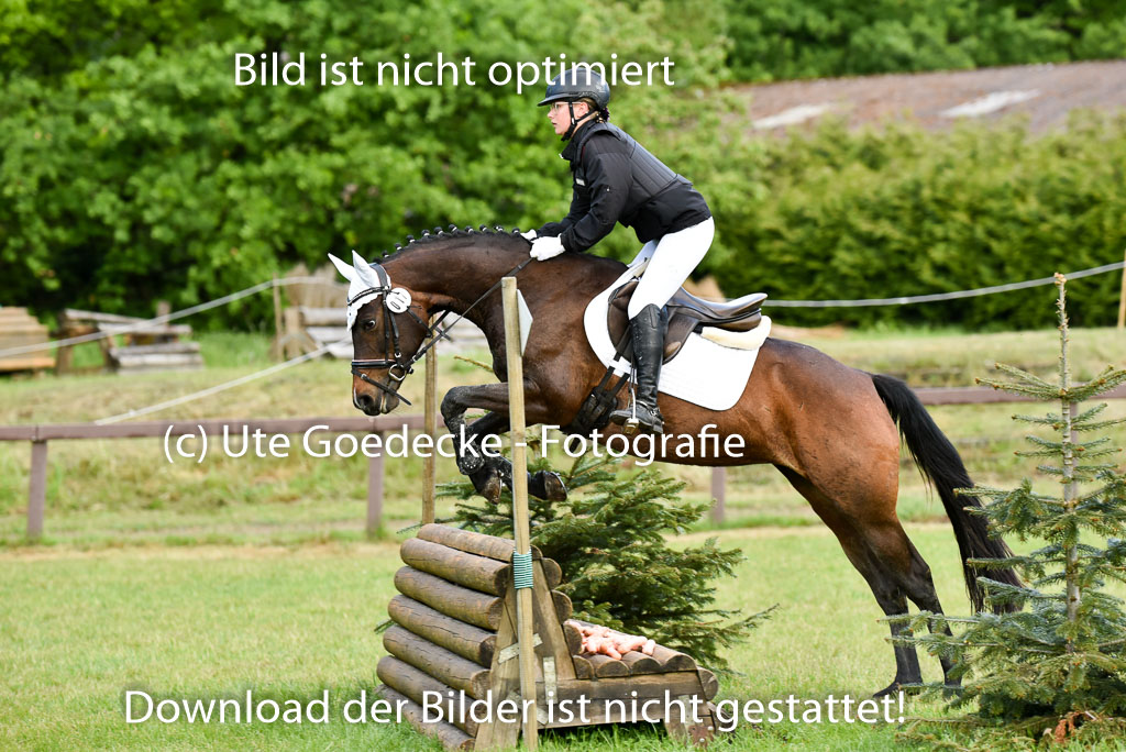  | 17052025 Geläönde E  1 Abt_194 