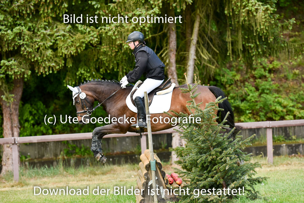  | 17052025 Geläönde E  1 Abt_196 