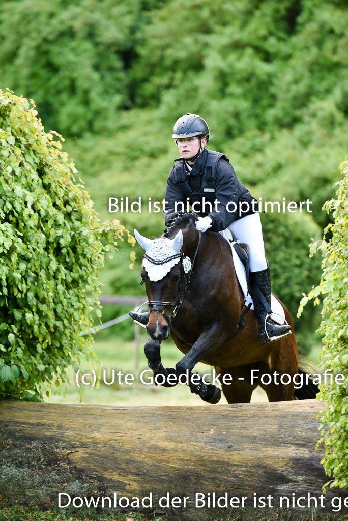  | 17052025 Geläönde E  1 Abt_197 