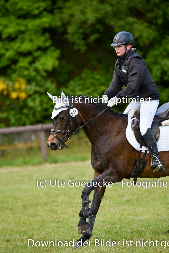  | 17052025 Geläönde E  1 Abt_204 