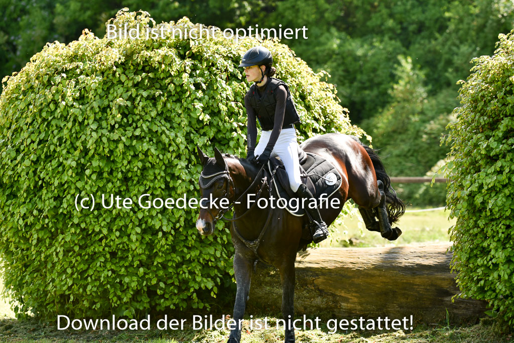  | 17052025 Geläönde E  1 Abt_212 