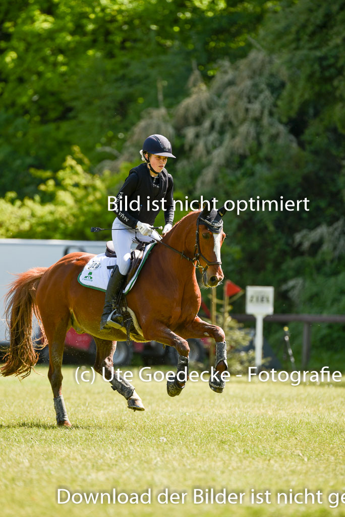  | 17052025 Geläönde E  1 Abt_216 