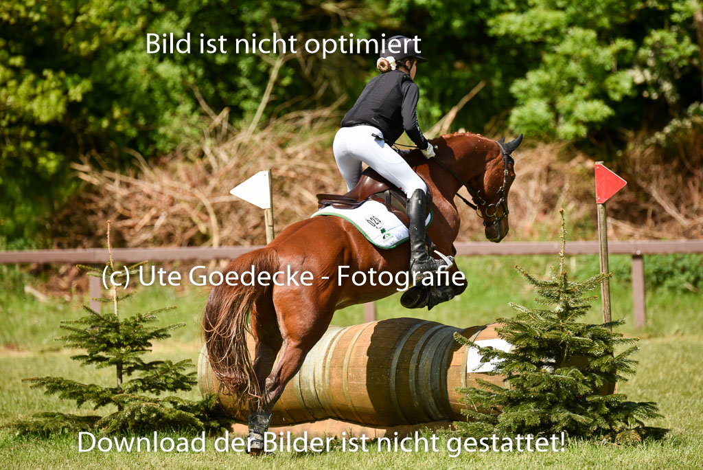  | 17052025 Geläönde E  1 Abt_217 