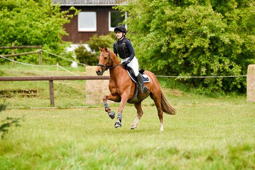  | 17052025 Geläönde E  1 Abt_088 