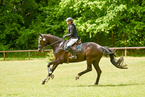  | 17052025 Geläönde E  1 Abt_120 