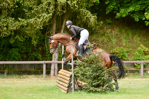  | 17052025 Geläönde E  1 Abt_154 