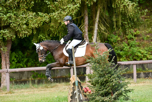  | 17052025 Geläönde E  1 Abt_196 