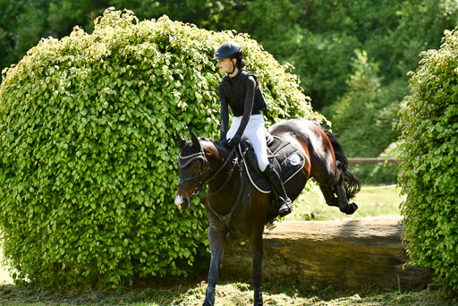  | 17052025 Geläönde E  1 Abt_212 