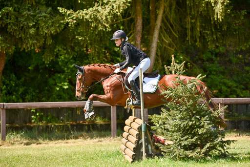  | 17052025 Geläönde E  1 Abt_221 