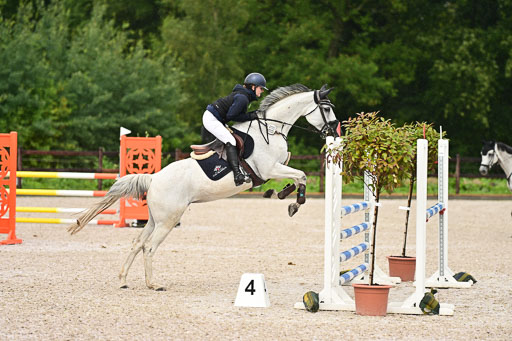 Klein Offenseth  - Hengststation Hell  am 27.07.2025 | 27072025 alle Prüfungen_021 