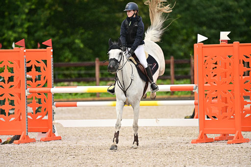 Klein Offenseth  - Hengststation Hell  am 27.07.2025 | 27072025 alle Prüfungen_024 