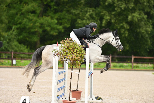 Klein Offenseth  - Hengststation Hell  am 27.07.2025 | 27072025 alle Prüfungen_031 