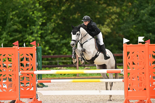 Klein Offenseth  - Hengststation Hell  am 27.07.2025 | 27072025 alle Prüfungen_032 