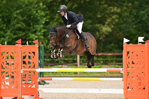 Klein Offenseth  - Hengststation Hell  am 27.07.2025 | 27072025 alle Prüfungen_048 